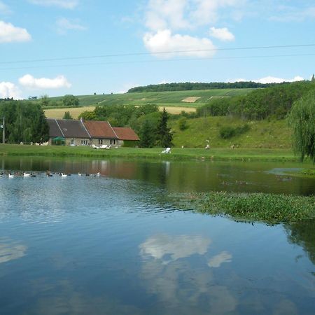 Domaine Du Moulin De L'Etang Bed & Breakfast Châtillon-sur-Marne Exterior foto