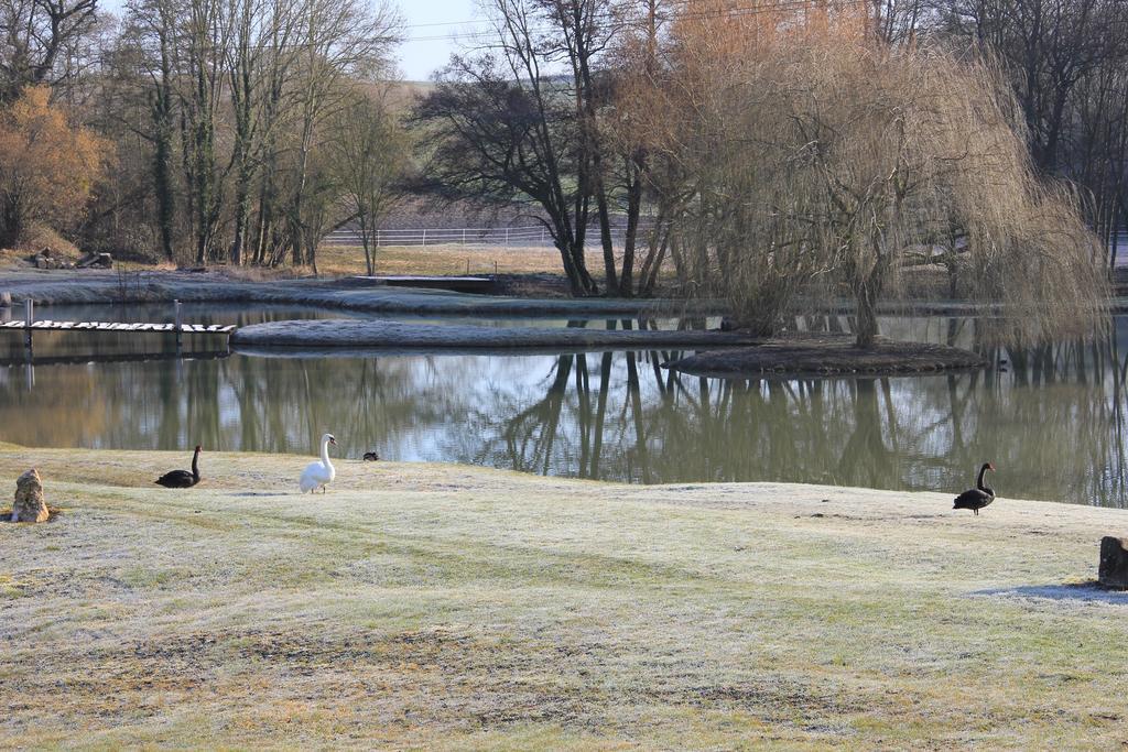 Domaine Du Moulin De L'Etang Bed & Breakfast Châtillon-sur-Marne Exterior foto