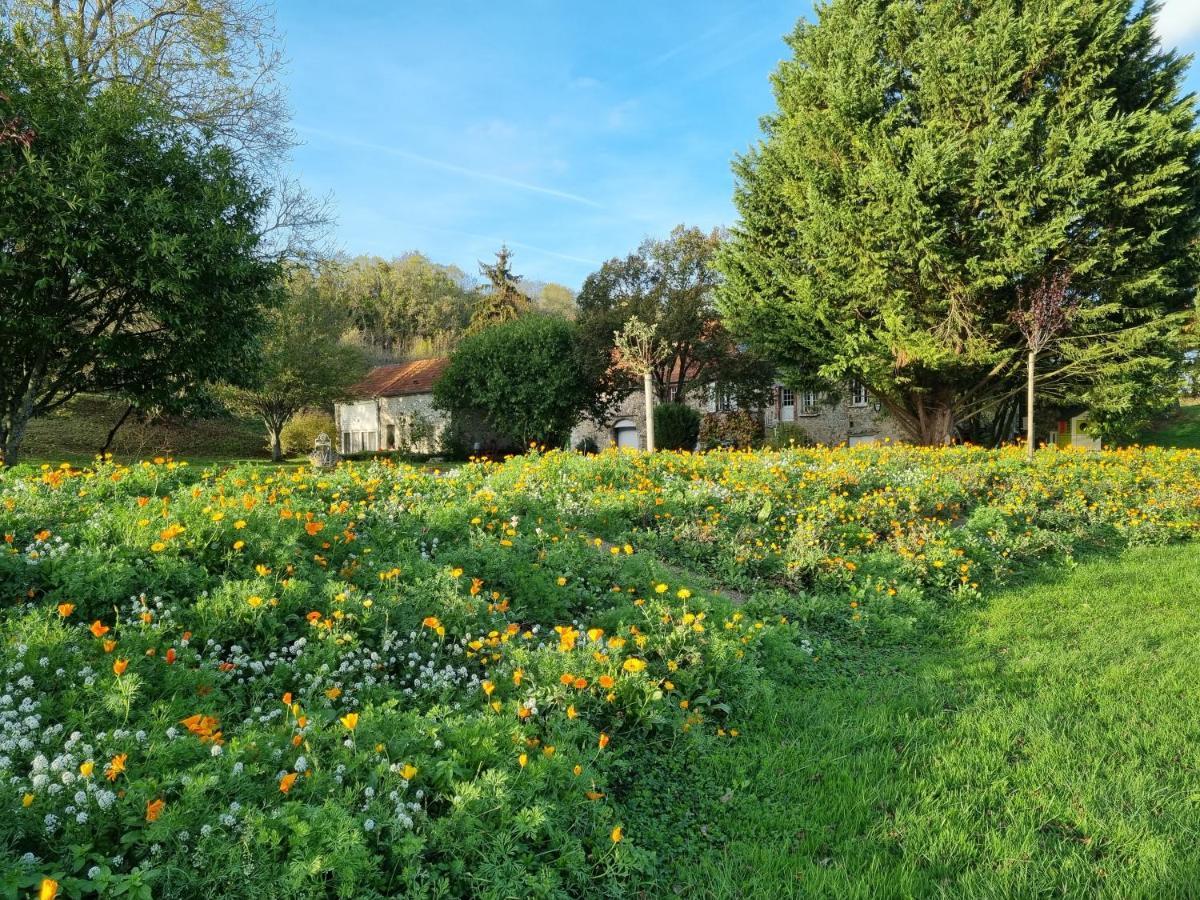 Domaine Du Moulin De L'Etang Bed & Breakfast Châtillon-sur-Marne Exterior foto