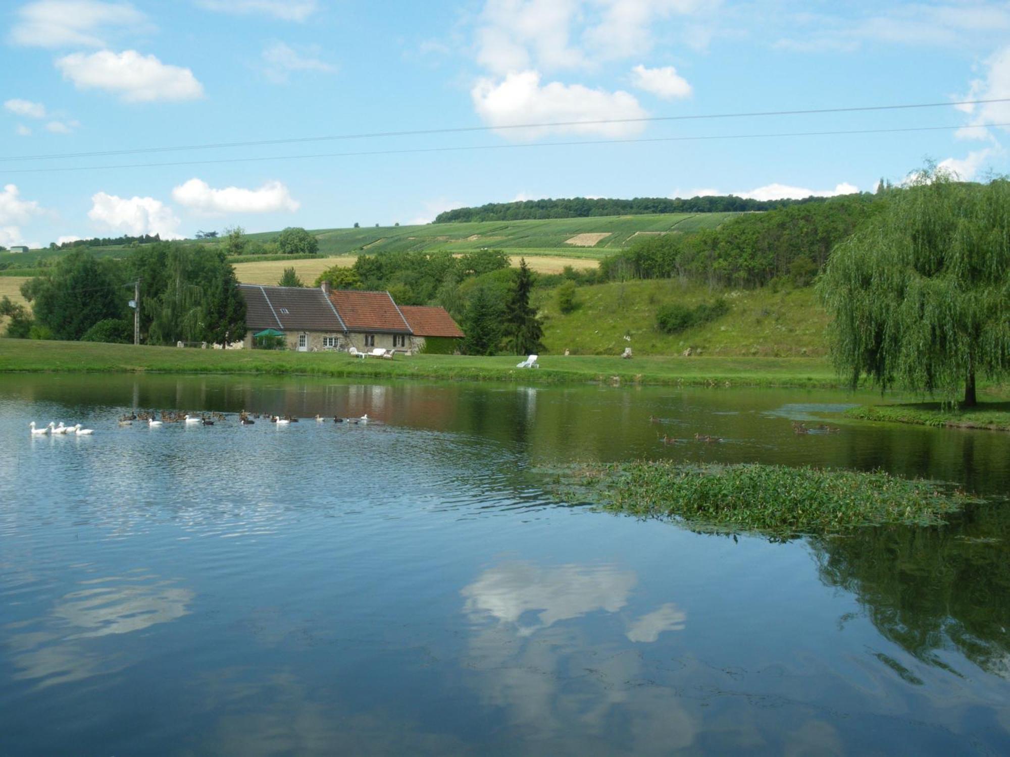 Domaine Du Moulin De L'Etang Bed & Breakfast Châtillon-sur-Marne Exterior foto