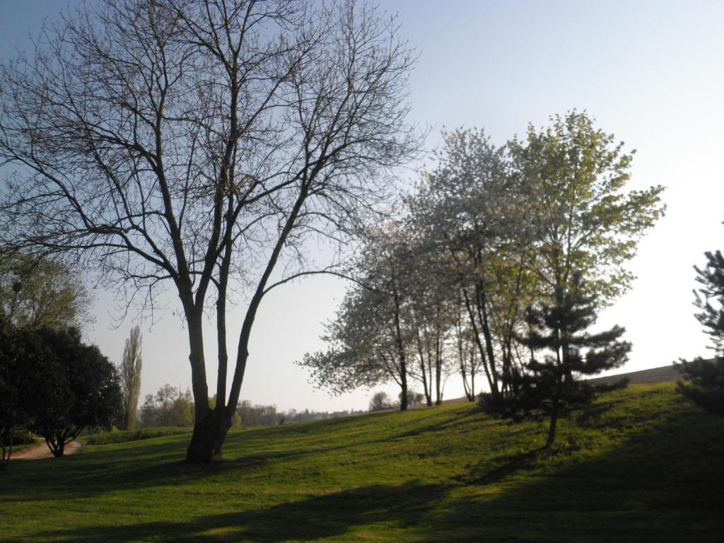 Domaine Du Moulin De L'Etang Bed & Breakfast Châtillon-sur-Marne Cameră foto