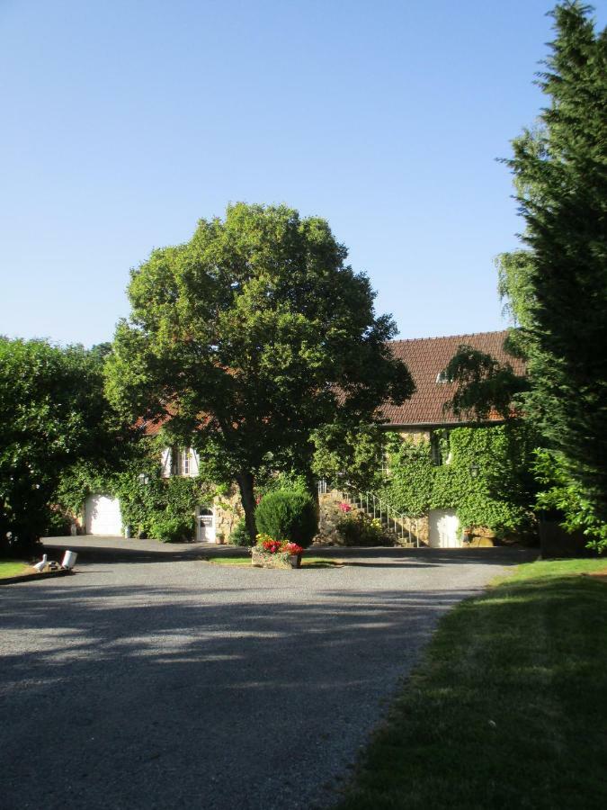 Domaine Du Moulin De L'Etang Bed & Breakfast Châtillon-sur-Marne Exterior foto